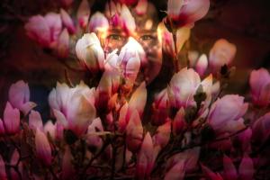 Magnoliowa panienka